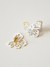 画像をギャラリービューアに読み込む, 【NEW】PJDP-003 Haberu