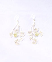 画像をギャラリービューアに読み込む, PJP-018 Pure