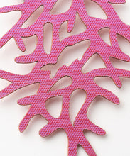 画像をギャラリービューアに読み込む, PJP-004 Coral