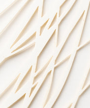 画像をギャラリービューアに読み込む, PJ-001 Layer