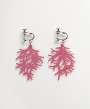 画像をギャラリービューアに読み込む, PJP-004 Coral