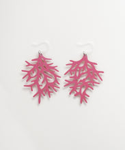 画像をギャラリービューアに読み込む, PJP-004 Coral